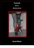 Cuckold - Part Three - Playing Away by David Wood