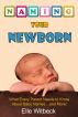 Naming Your Newborn: What Every Parent Needs to Know about Baby Names... and More! by Elle Witbeck