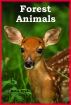 Forest Animals by Katie Byrde