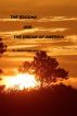 The Buddha and the Dream of America by James Hilgendorf