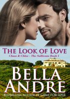 Cover for 'The Look of Love: The Sullivans #1 (Contemporary Romance)'