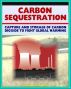 21st Century Guide to Carbon Sequestration - Capture and Storage to Fight Global Warming and Control Greenhouse Gases, Carbon Dioxide, Coal Power, Technology Roadmap and Program Plan by Progressive Management