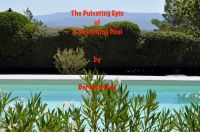 The Pulsating Epic Of A swimming Pool cover