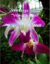 A New Ink Well by Voice Writer