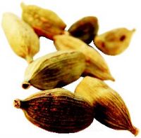 Cover for 'Cardamom, Benefits of'