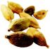 Cardamom, Benefits of by Amit Goyal