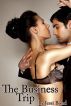 The Business Trip (F/m BDSM Erotica) by Jessi Bond