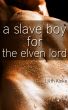 A Slave Boy For the Elven Lord by Lilith Kinke