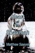 Heart of the Snowman by Matthew Sawyer