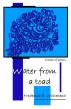Water from a toad by Frederick E Whitehead