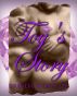 Toy's Story by Brenda Stokes Lee