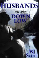 Cover for 'Husbands on the Down Low'
