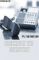 Cover for 'Breaking in the Secretary Pt. 1: The First Day'