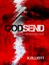 Godsend: A Necessary Evil by K Elliott