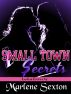 Small Town Secrets by Marlene Sexton