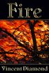 Fire by Vincent Diamond