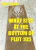 What Lies At The Bottom of Plot 105 by Troy Kirby