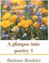 A glimpse into poetry 1 by Badmus Olalekan Ibrahim
