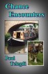 Chance Encounters by Paul Telegdi