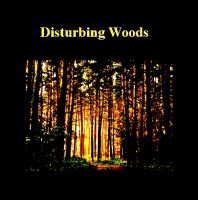Cover for 'Disturbing Woods'