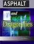Asphalt and Dragonflies by Paul Hawkins
