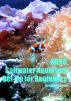 Nano Saltwater Aquarium Set Up for Beginners! by Abdul Rahim 