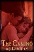 The Camino by A. J. Llewellyn