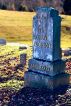 The Grave Digging by Mark Early