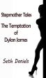 Stepmother Tales: The Temptation of Dylan James by Seth Daniels
