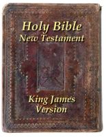 Cover for 'The Holy Bible New Testament'