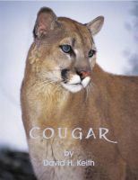 Cover for 'Cougar'