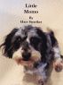 Little Momo by Harv Sterriker