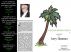 A Year In Beverly Hills by Jerry Hammer