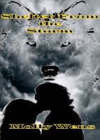 Cover for 'Shelter from the Storm'