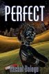 Perfect by Rachel Boleyn