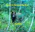 Beary the Berry-Eating Bear by John Kelly
