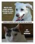 Men Are Like Dogs, Women Are Like Cats:  A Guide To Finding Love In This Dog Eat Dog World by Lacy Maran