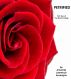 Petrified:  Part Two of the Numb Trilogy by Amanda Lawrence Auverigne