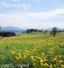Memories by Janell Loveland