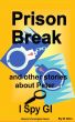 Prison break by Di Allen