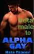 Beta Male to Alpha Gay by Nate Tanner