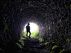 The Cave (short story) by Reuel Centura