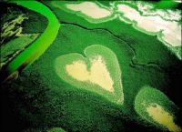 Cover for 'YOUR&rsquo;S HEART, MY FIELD.'