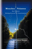 Cover for 'Mouches Volantes - Eye Floaters as Shining Structure of Consciousness'