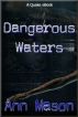 Dangerous Waters by Ann Mason