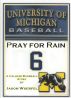 Pray for Rain: A College Baseball Story by Jason Wuerfel