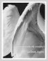 A Gathering of Angels by Colleen Sayre