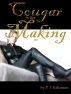 Cougar in the Making, Volume I by P.J.  Kellinson