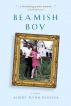 Beamish Boy (I Am Not My Story): A Memoir of Recovery & Awakening by Albert Flynn DeSilver