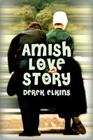 Cover for 'Amish Love Story'